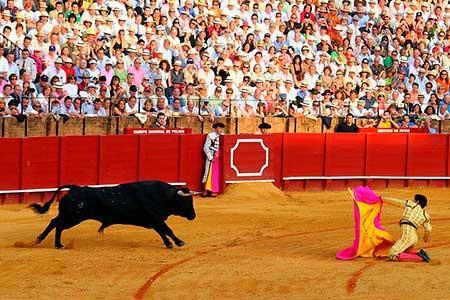 Gifsa Sevilla - Parque Alcosa エクステリア 写真