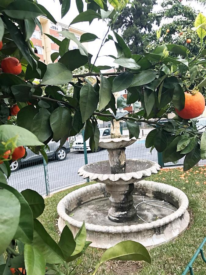 Gifsa Sevilla - Parque Alcosa エクステリア 写真